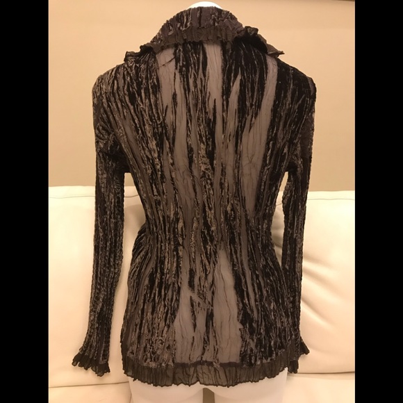 Alison Sheri Chocolate Velour Blouse - Picture 5 of 7